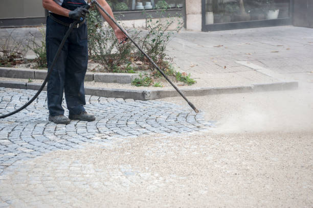 Best Gutter Cleaning  in Orlovista, FL